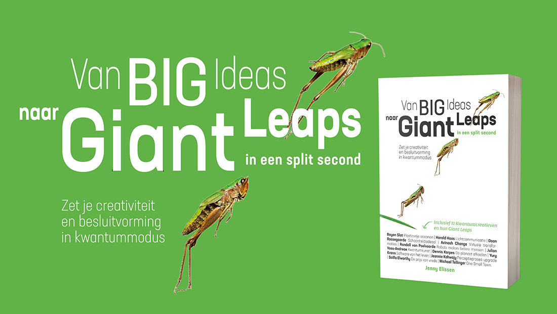 Van Big ideas naar giant leaps boek over Creativiteit besluitvorming kwantummodus